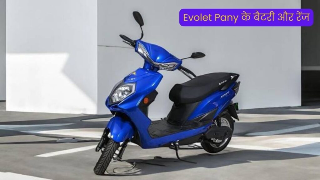Evolet Pany
